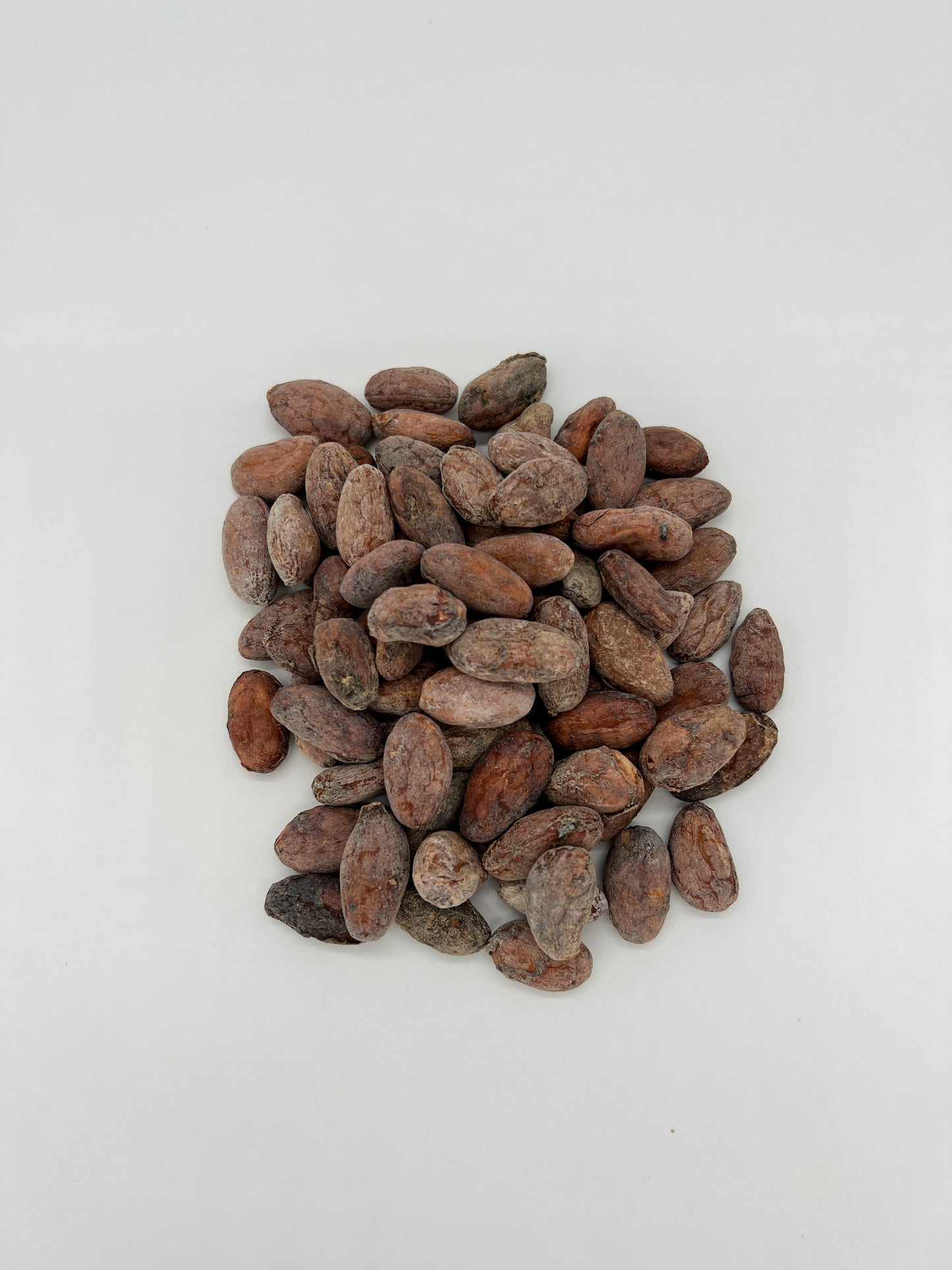 Criollo cocoa beans raw quality
